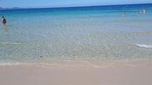 Brezza di mare appartamento in Villa con giardino e spiaggia ,casa vacanze al mare