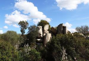 B&B Terra e Smeralda img48