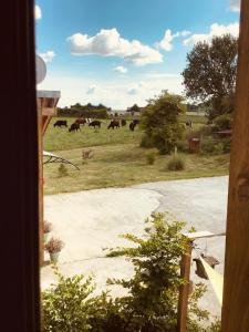 Maisons de vacances Le duplex De La Ferme Du Tertre : photos des chambres