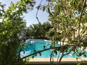 Art Villa Orchidee Piscina con Vista Mare - Sardegna img21