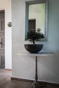 Studios Filio Sonia Halkidiki Greece