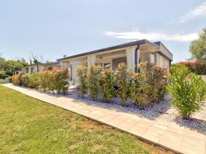 Sun-Kissed Stay in Istria s Charm