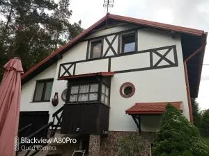 Dom w Gaju nad jeziorem Dębno - Osetno