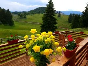 La Vulturi - Fundatica