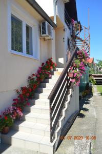 Two-Bedroom Apartment room in Apartmani Perovic