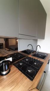 Jaukūs apartamentai-studija, centre