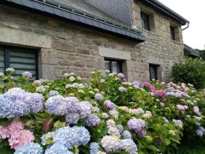 B&B / Chambres d'hotes Entre terre et mer : photos des chambres