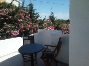 Apartments and rooms Camelia