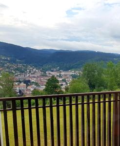 LES DRYADES Vue montagne