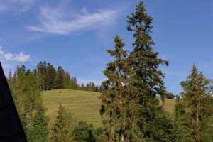 mc82 - Anna i Marek Łukaszczyk