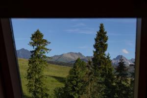 mc82 - Anna i Marek Łukaszczyk