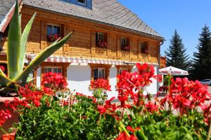 Höhenpension Glashütte Bed&Breakfast Frühstückspension Hotel GARNI