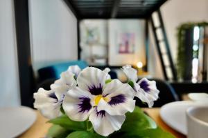 Linea1 loft