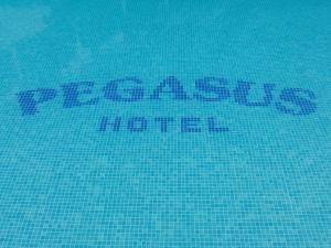 Pegasus Hotel Halkidiki Greece