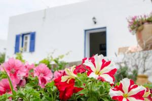 Cycladic houses in rural surrounding 4 Amorgos Greece