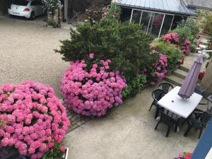 B&B / Chambres d'hotes La Ferme de Kerivoas : Chambre Double - Vue sur Jardin