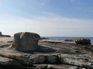 B&B / Chambres d'hotes Rose d'Ecumes : photos des chambres