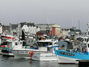 B&B / Chambres d'hotes Rose d'Ecumes : photos des chambres