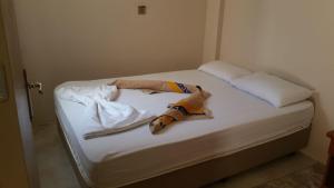 Haciely Thermal Otel