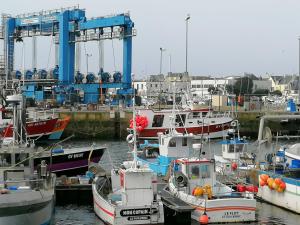 B&B / Chambres d'hotes Rose d'Ecumes : photos des chambres