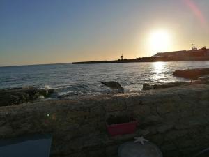 B&B / Chambres d'hotes Rose d'Ecumes : photos des chambres