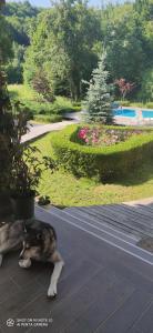 КЪЩА ЗА ГОСТИ ДИВИЯТ БОЖУР