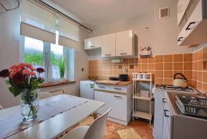 Apartamenty BIESZCZADZKI Anioł