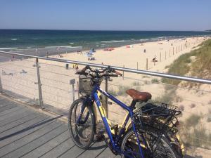 Azure Baltic Premium