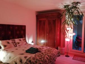 Appartements LE KATZALA : photos des chambres