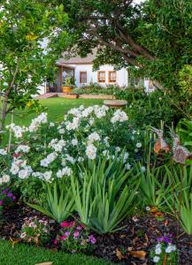 Mirtehof Guest Farm Estate