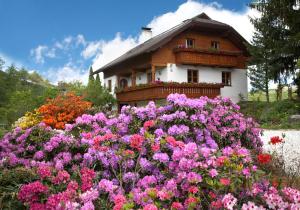 Apartement Haus Elfi Moosburg Austria