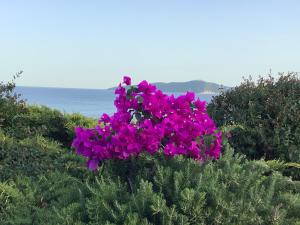 Limonari Bay Villas Meganisi Greece