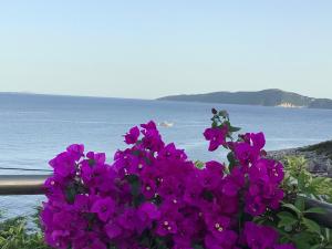 Limonari Bay Villas Meganisi Greece