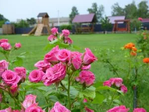 Приватна Садиба "У Оксани" - Pulʼmo