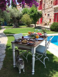 Alacati Zeytin Konak Hotel