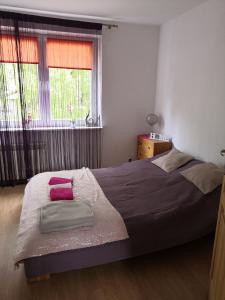 Apartamenty Pod Sosnami
