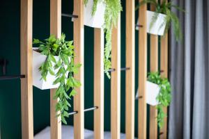 TOP Garden Aparthotel