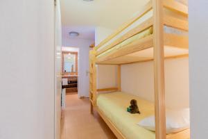 Appart'hotels Madame Vacances Residence Le Parc Des Airelles : photos des chambres