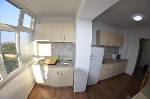 APARTAMENT RAZVAN HOLIDAY COSTINESTI