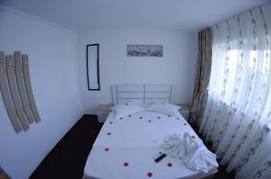 APARTAMENT RAZVAN HOLIDAY COSTINESTI