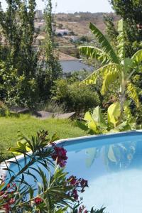 Casas do Palheiro Velho