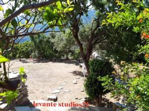 levante studios Αndros Andros Greece