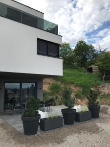 Appartements TheGuthPlace : photos des chambres