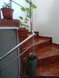 Casa Carlo