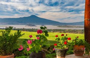 Eco Hotel Ixhi