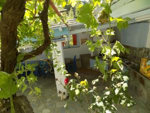 Adamadios Green House Skopelos Greece