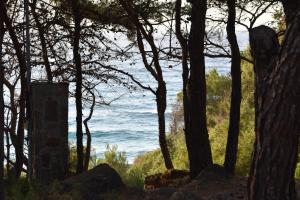 Dolihis gi, Poseidon Ikaria Greece