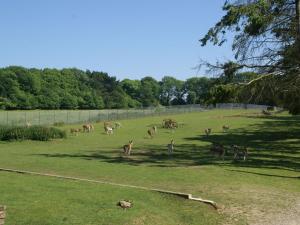 Maisons de vacances Beautiful Holiday Home with Pool BBQ Garden Deckchairs : photos des chambres