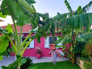 Aloe house Lakithra Kefalloniá Greece