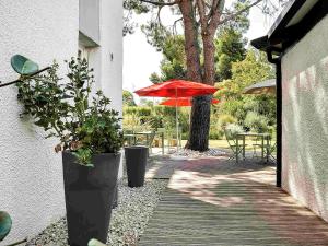 Hotels ibis Salon de Provence : photos des chambres